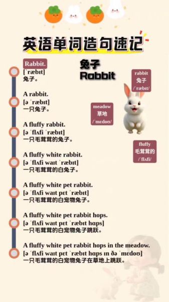 英文生肖属相兔（英文属兔怎么说？）