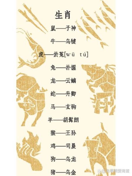 取经的生肖有几个属相