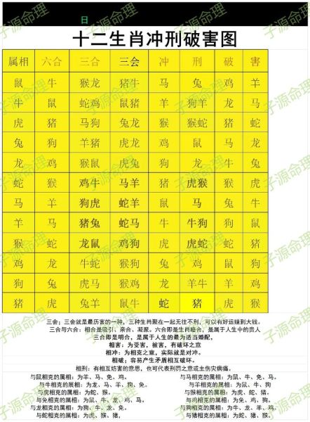 用生肖属相算命好吗男生（男生用生肖算命真的准吗？）