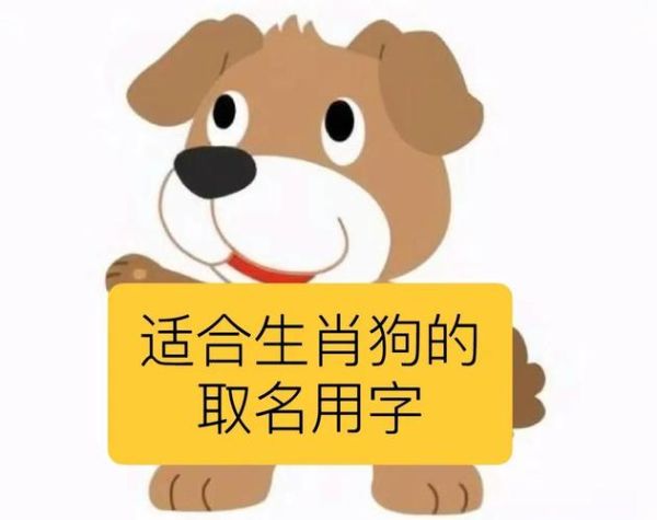 生肖狗的孩子属相（生肖狗的孩子运势如何）