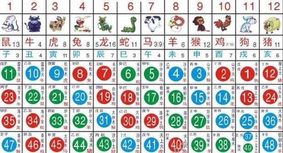 老外生肖属相（老外属什么生肖？在线速查表）