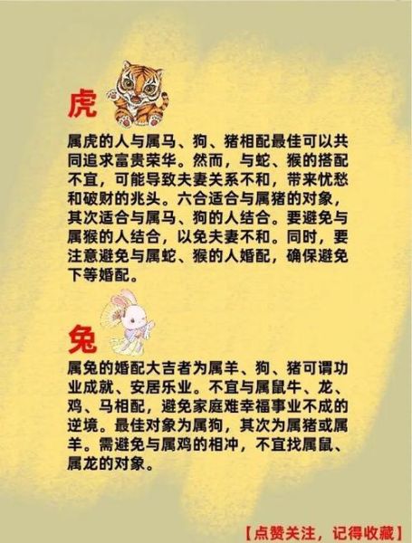 生肖跟哪个属相合财运（属鼠和什么属相最合财？）