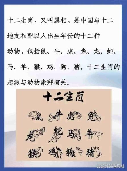 每个生肖都有什么属相（新手速查：12生肖分别是什么属相）