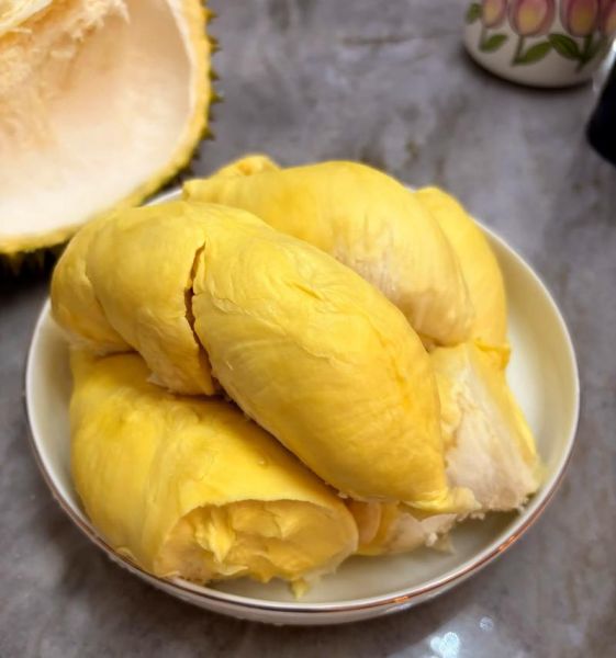 邓小小属什么生肖属相（邓小小属什么生肖？）