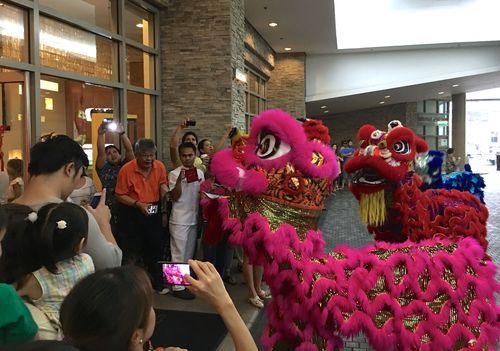 马尼拉什么生肖属相最好（马尼拉华人最旺的生肖是哪个？）