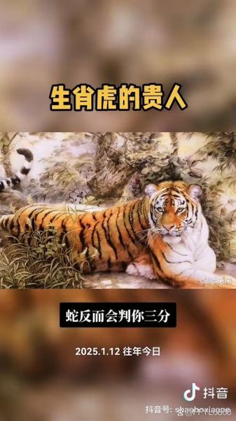 老虎依赖哪个生肖属相(老虎一生最离不开哪些属相贵人)