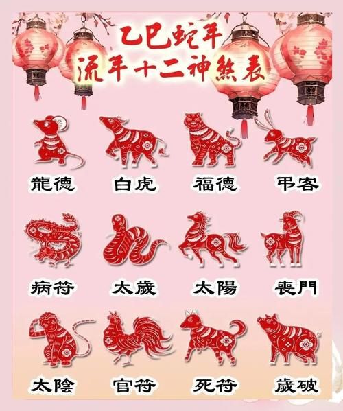 生肖属相榜(2025生肖运势排行完整版💥)