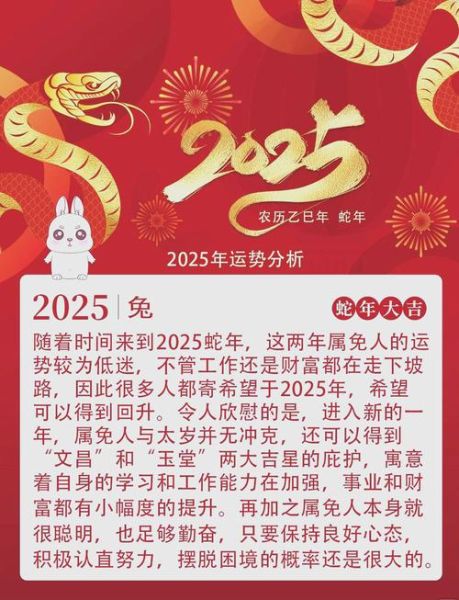 生肖属相兔（生肖兔2025全年运程详解）