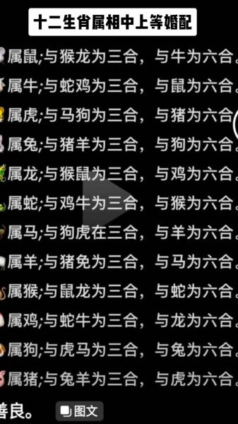 老刘什么属相生肖（老刘什么生肖）