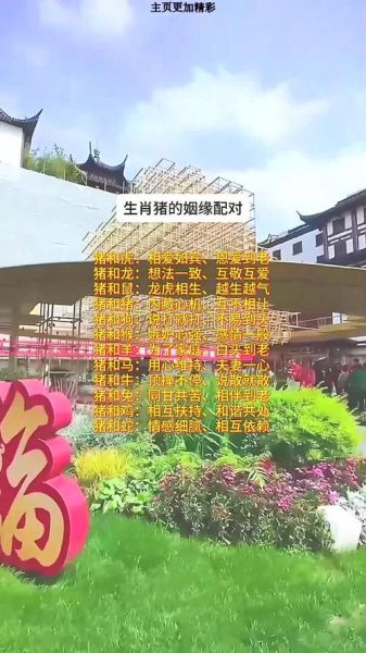 生肖猪的婚姻女生属相（生肖猪女生的最佳婚姻属相配对指南）