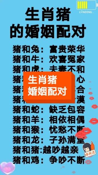 生肖猪的婚姻女生属相（生肖猪女生的最佳婚姻属相配对指南）