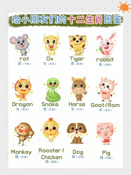 老外问生肖属相（老外问生肖属相英文怎么说）