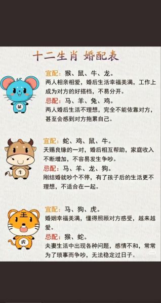 属相表大全生肖配对（属相表大全生肖配对准吗？新手指南）