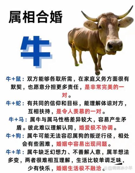 生肖牛和生肖属相合吗女（属牛女和什么生肖最好婚配）