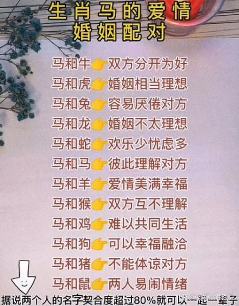 生肖马和各个属相（生肖马和哪些属相最合？）