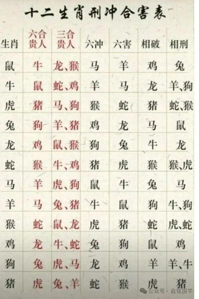 白马属相是什么生肖（白马在十二生肖里代表什么）