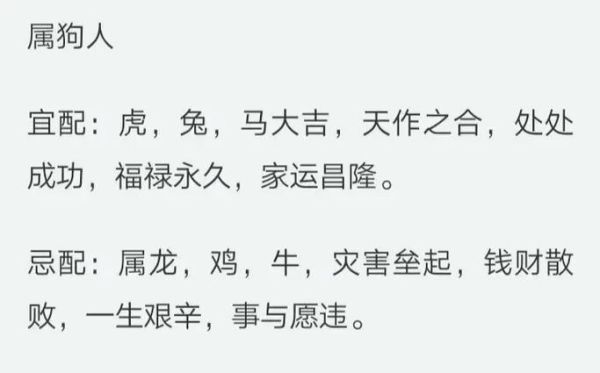 生肖狗结婚最忌什么属相(属狗婚配最忌讳的三大生肖)