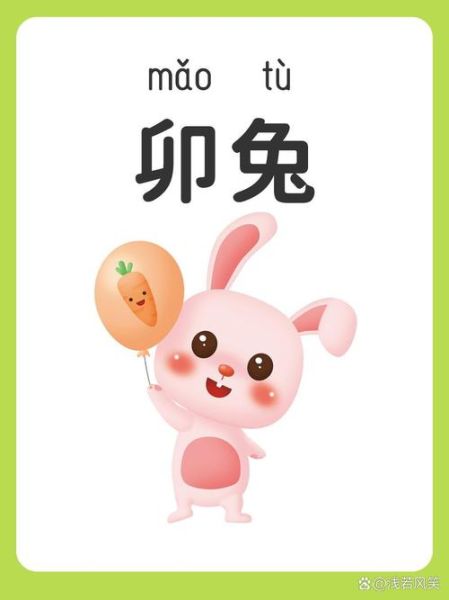 生肖属相卡片（生肖属相卡片怎么选？新手避坑指南）