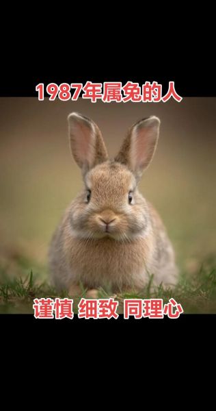87年什么生肖属相（87年属什么生肖）