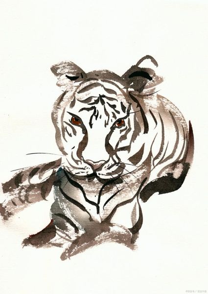 无虎无狼生肖属相（无虎无狼属相是什么生肖）