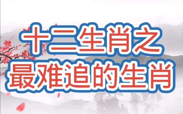 哪个生肖属相最难追（哪个生肖男最难追）