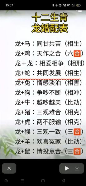 生肖龙与生肖狗属相合吗（生肖龙与狗相合吗？）