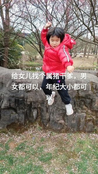 生肖猪找的干爹属相（生肖猪找干爹适合什么属相）