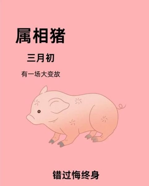 生肖猪相刑属相（属猪相刑生肖是哪些？）