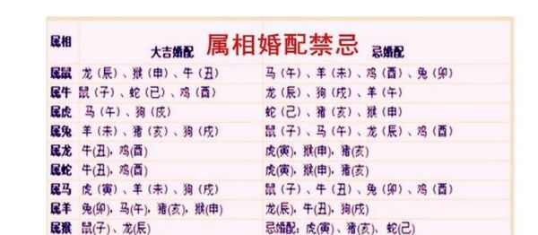 不合的属相是什么生肖(不合的属相有哪些生肖配对)