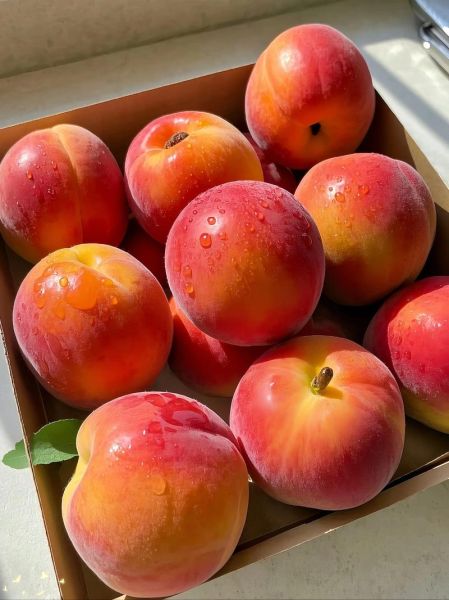 红杏有几个生肖属相(红杏有几个生肖属相?)