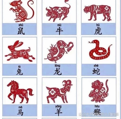 近字最佳生肖属相(近字最佳生肖属相是什么🐭)