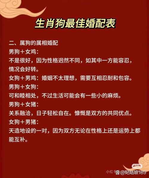 生肖狗属相婚配表(属狗最佳婚配属相大揭秘💑)