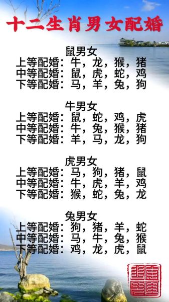 属相与情感的生肖(属相与情感运势配对表免费查)