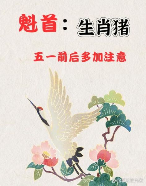 生肖猪的对冲生肖属相（生肖猪对冲生肖是什么）