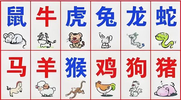 测出你的生肖属相(测出你的生肖属相最简单方法)