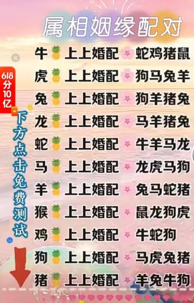 生肖鸡婚配最好属相（生肖鸡婚配最好属相是什么）