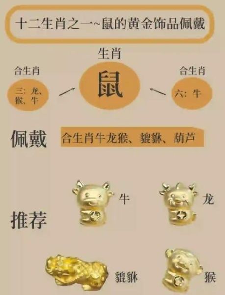 生肖属相筷子摆放（生肖属相筷子摆放新手避坑指南🥢🐭）
