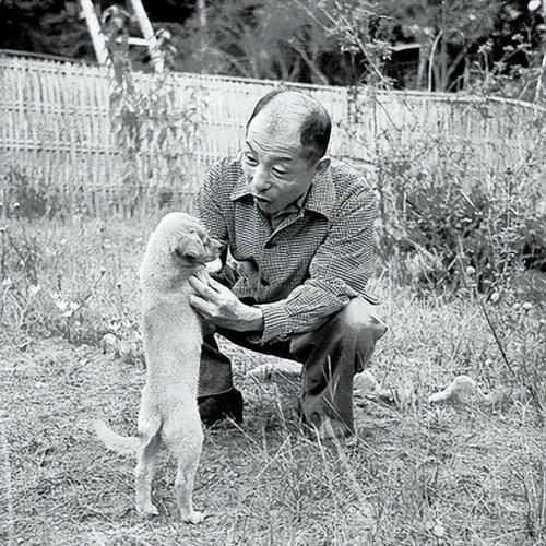 张学良属相是什么生肖（张学良属什么生肖？揭秘少帅属相）