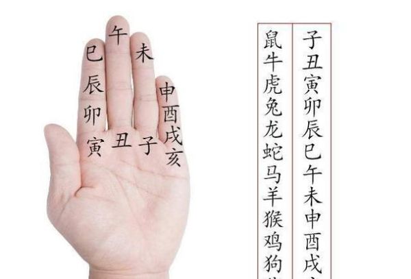 生肖属相手势图片（12生肖手势图片教学图解）