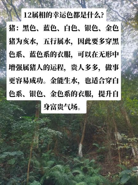 生肖猪遇到什么属相生（属猪的贵人是什么生肖）