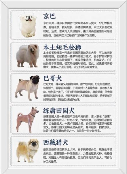 生肖属相土狗（土狗生肖性格分析及运势）