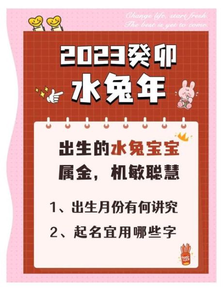 水兔什么生肖属相（水兔是哪一年属什么生肖的）