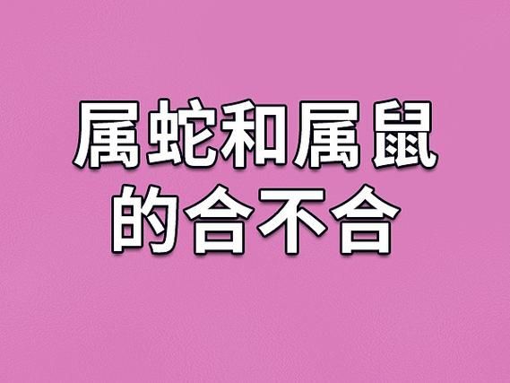 生肖蛇和生肖老鼠属相相配吗（生肖蛇和生肖老鼠合不合？速查真相）