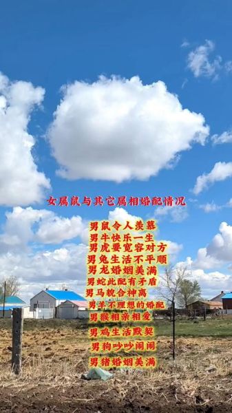 属鼠伴娘生肖属相(属鼠找伴娘忌什么属相?)