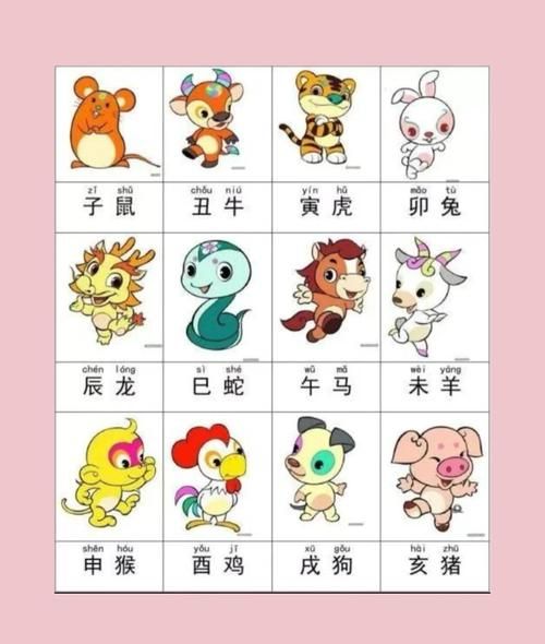 生肖鸡相克属相(生肖鸡和什么生肖属相最相克)