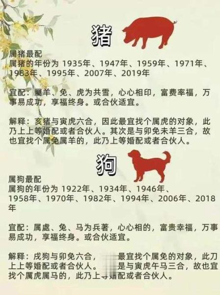 生肖虎猪属相配对（生肖虎猪属相配对吉凶如何）