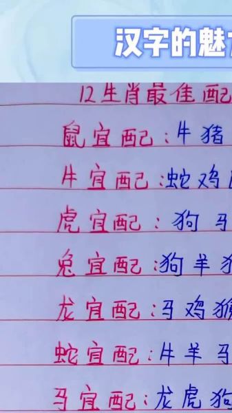 生肖属相怎么配合适（生肖属相搭配指南：新手也能看懂）