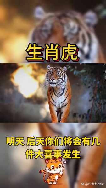 生于1998年的生肖属相（1998年属什么生肖🐯新手一看就懂）