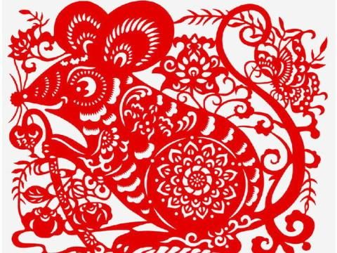 王鹤属相是什么生肖