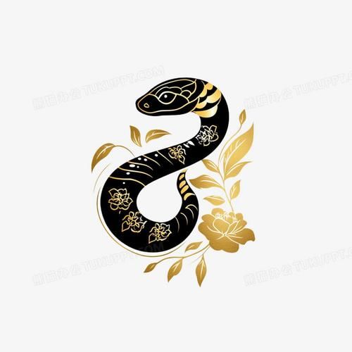 黑蛇属什么生肖属相最好（黑蛇属相的生肖最佳配对是谁？）